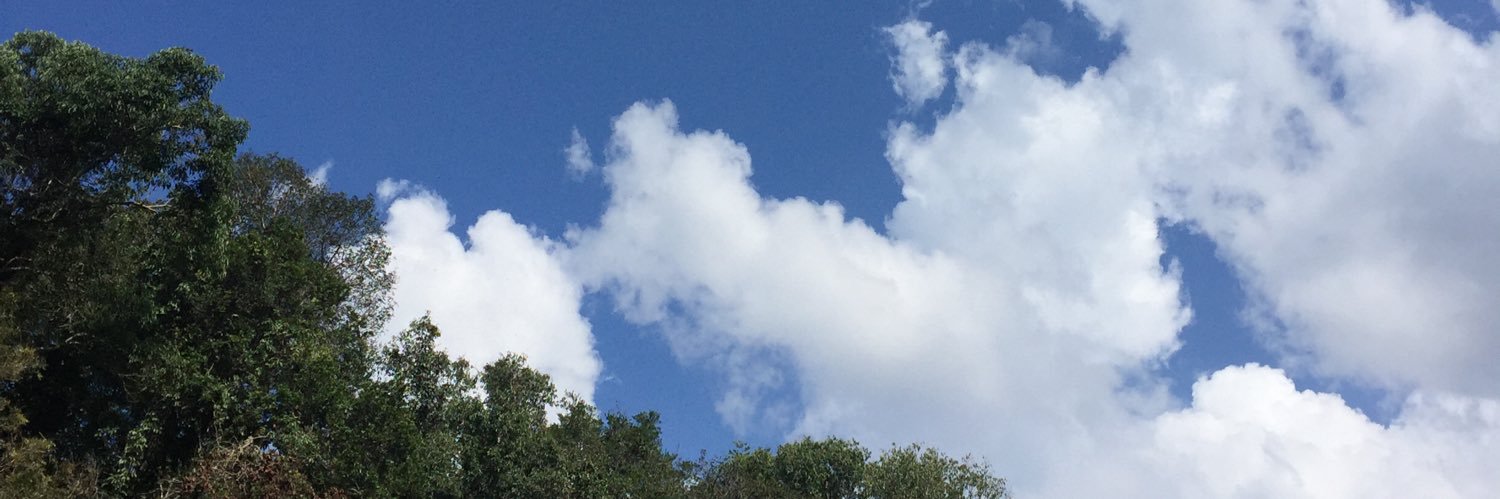 rnbutd's profile banner image