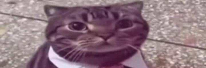 sleephheadzz's profile banner image