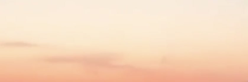 ♡ ZOZO 🐎 banner