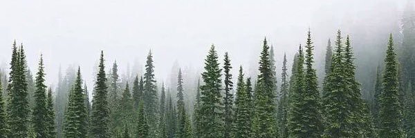 BasedGodJosiah's profile banner image