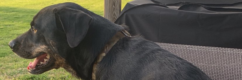 PnkyB's profile banner image