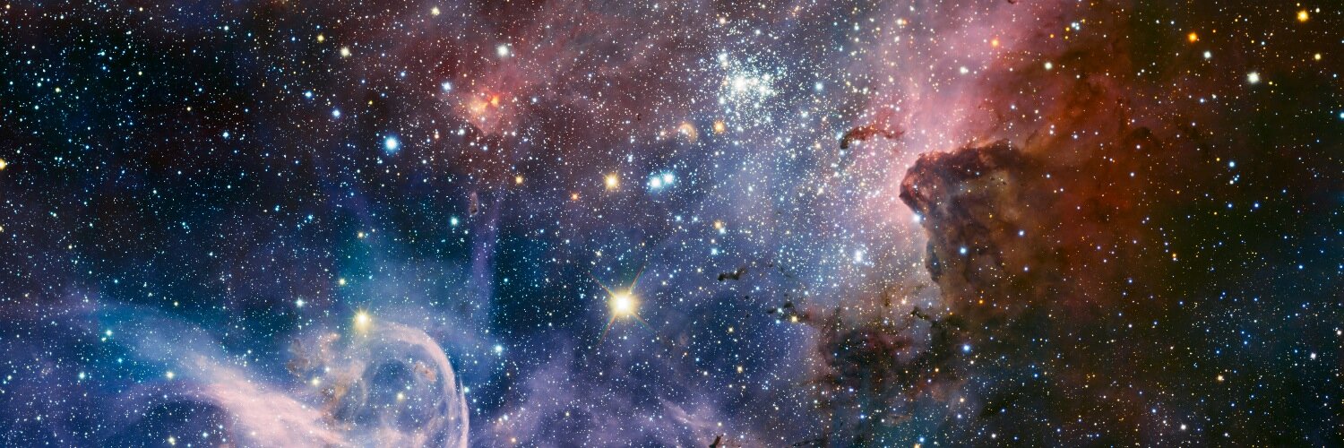 Michael Coleman banner