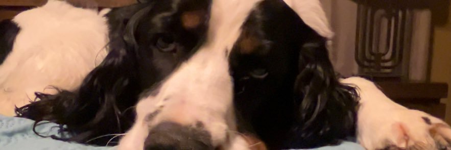 in play, rae(s) banner