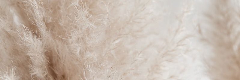 Stephanie Redman banner