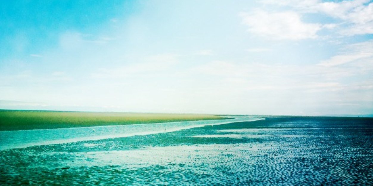 amfnelson's profile banner image