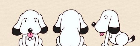 y banner
