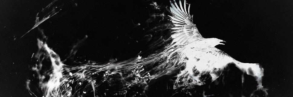 lety1527's profile banner image