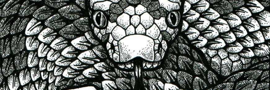 Emma Howitt Illus. banner