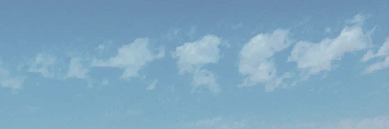 RaneenSal's profile banner image