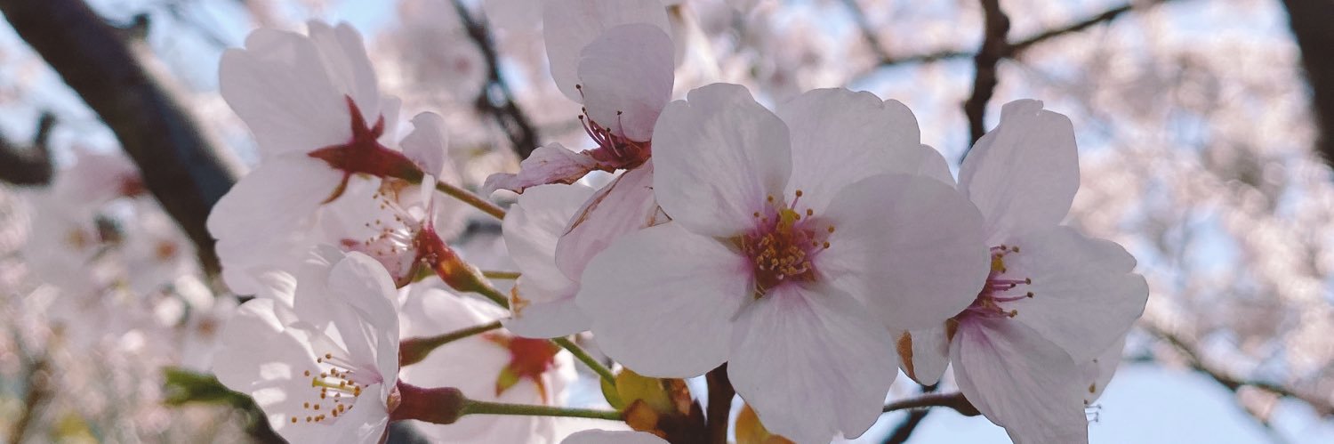 Natume_GRF's profile banner image