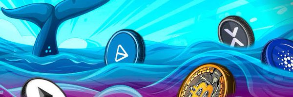 WhaleChainn Profile Banner