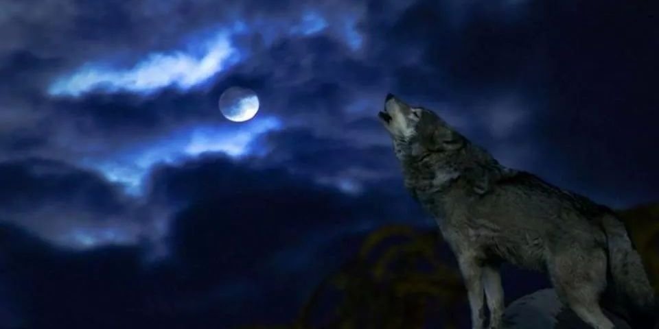 johnsegerstedt's profile banner image