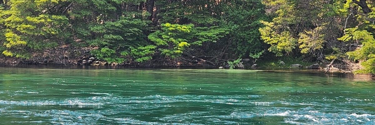 BrendaEcharri's profile banner image