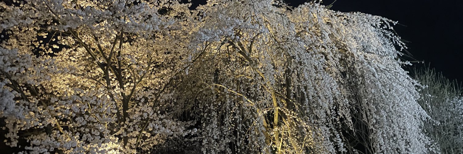 ORcx41's profile banner image