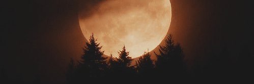 _darrosey's profile banner image