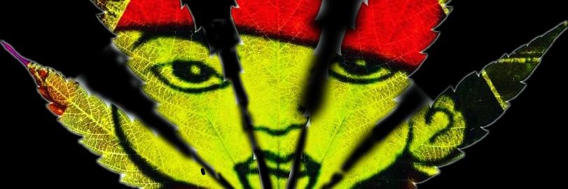 king_koolie's profile banner image