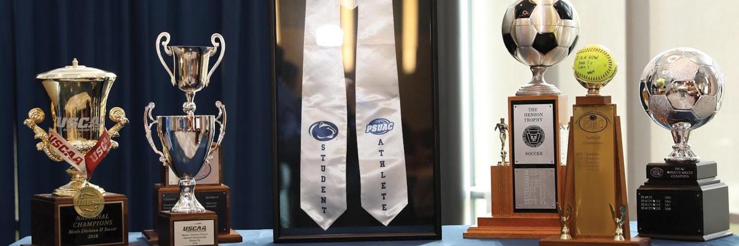 Brandywine Athletics banner