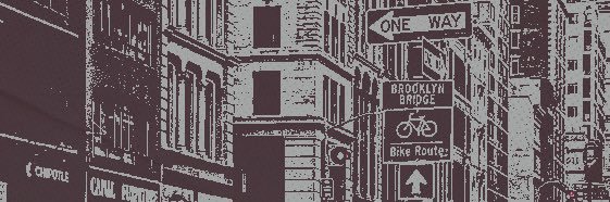 cece.'s banner