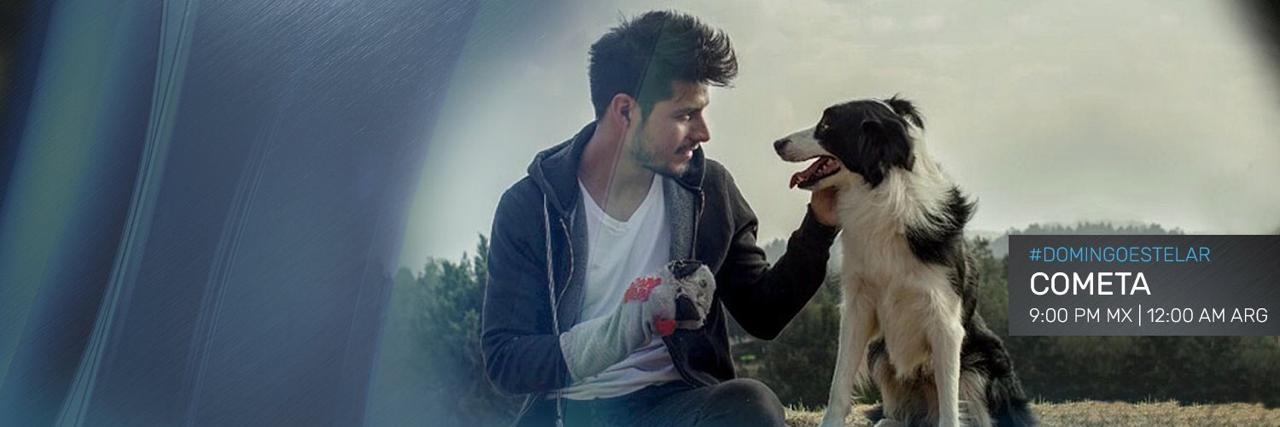 LouisDavidHorne's profile banner image