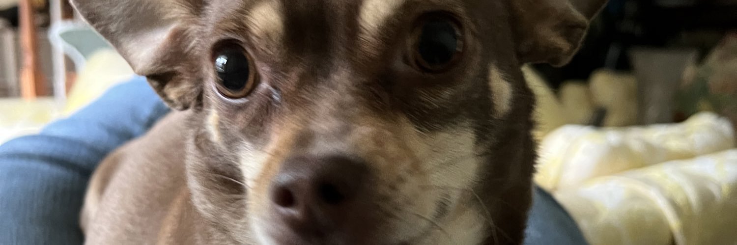 CandiceTCain's profile banner image