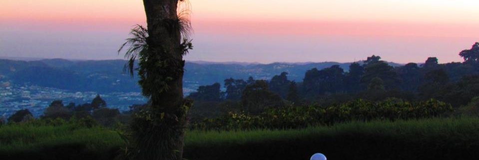 EleFernandez12's profile banner image
