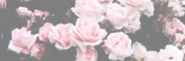 carlydee05's profile banner image