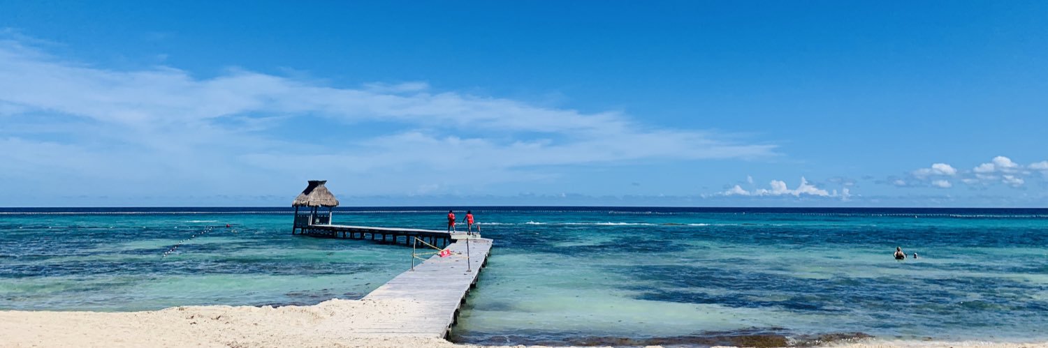 Sir Verdades banner
