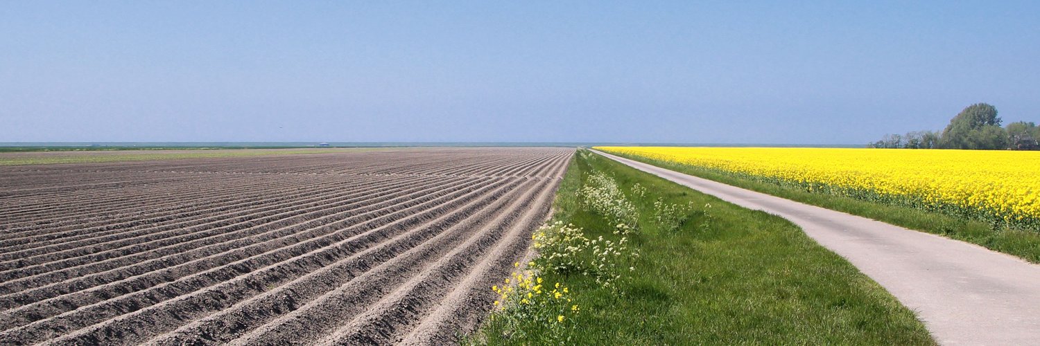 RTV Noord Live banner