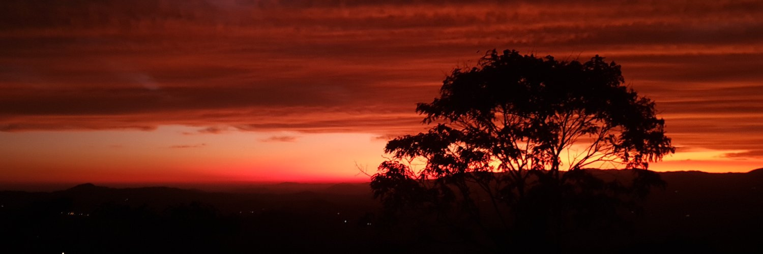 Vanessa Moura banner