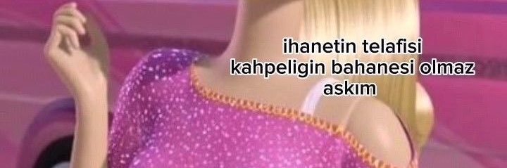 Leydi banner