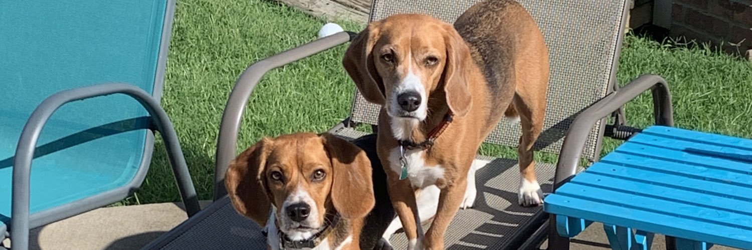 Barry Fischel banner