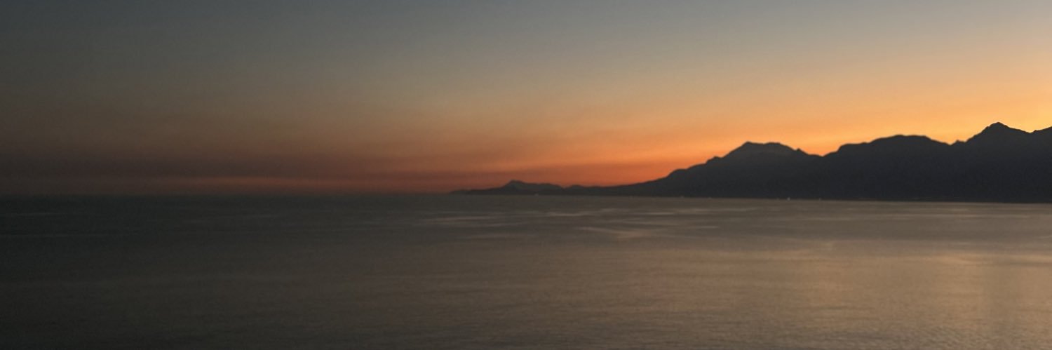 artemisiley's profile banner image