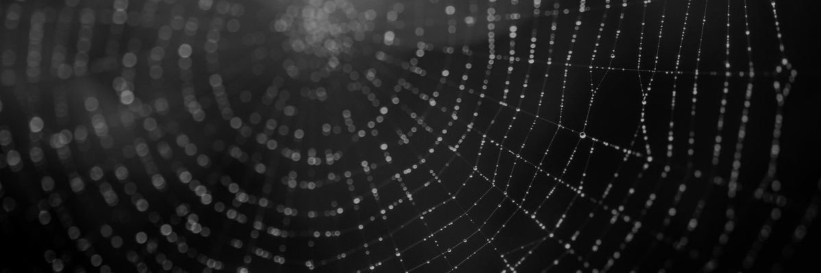 EZRA🕸️🕷️ (ถอน) banner