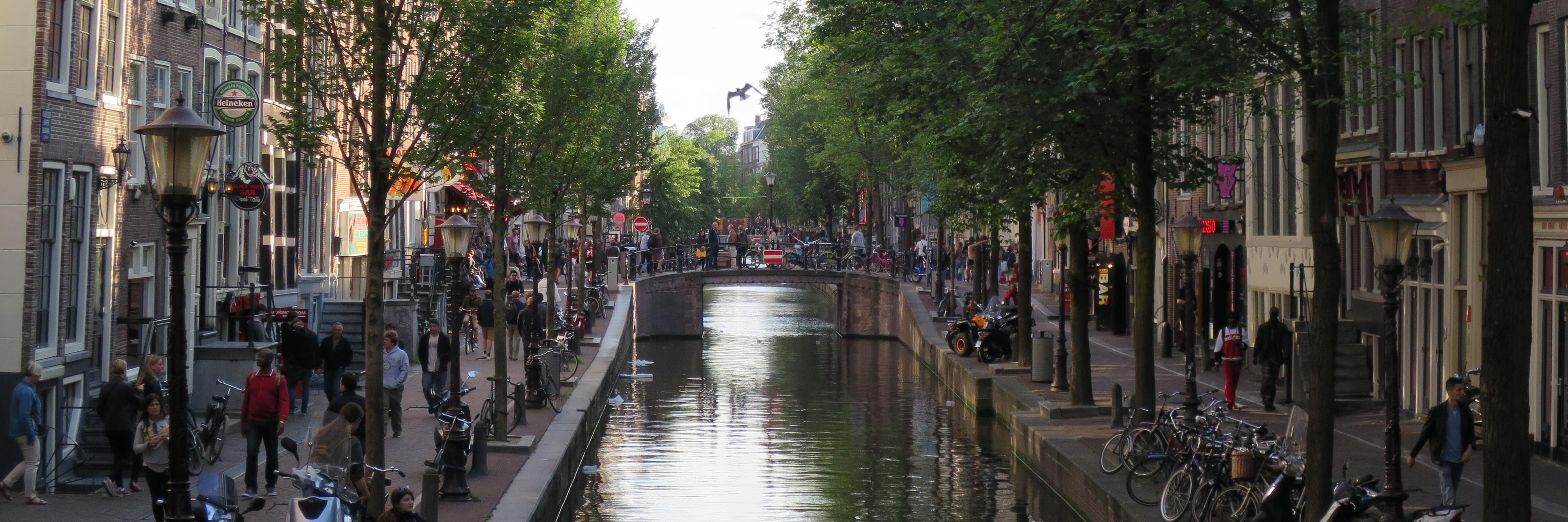 Sally Boucher banner