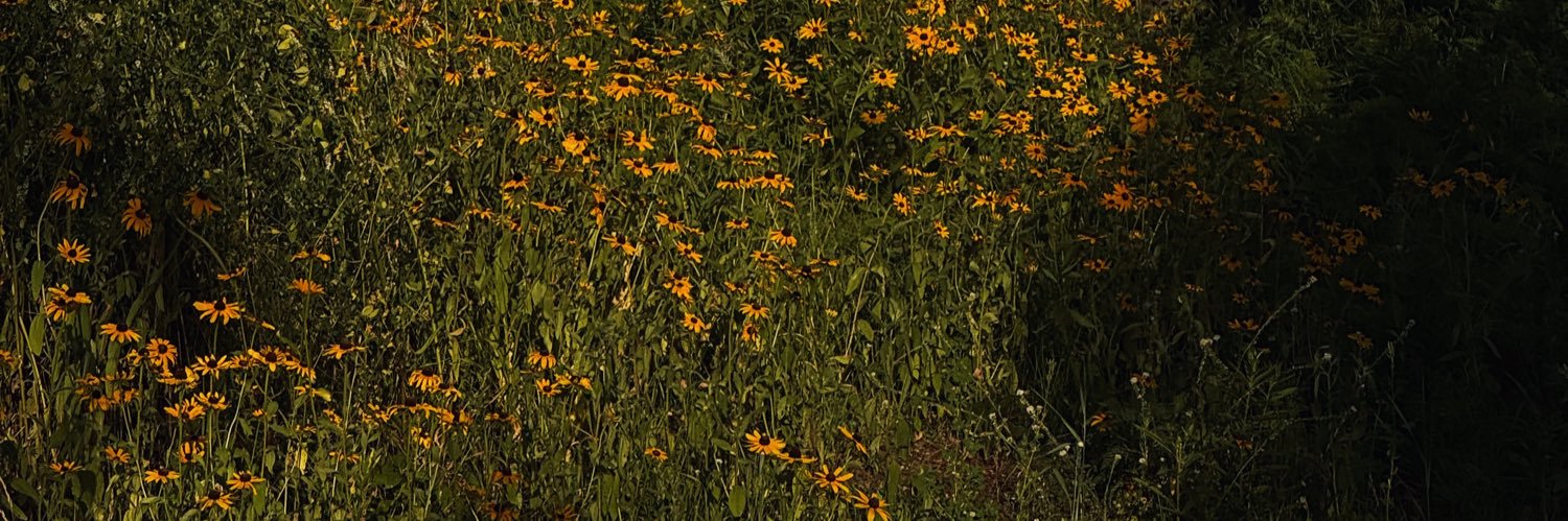conor🧃 banner