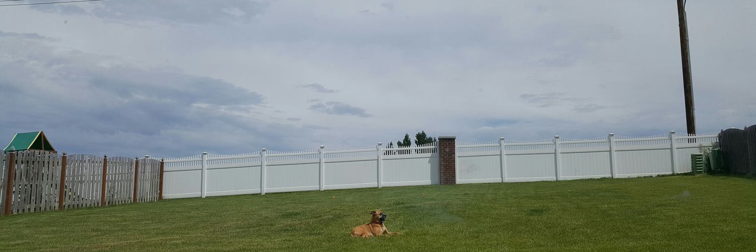 jennyb48's profile banner image
