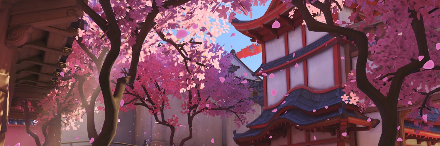 brookie .✦ ݁˖ banner