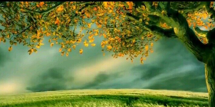 رفيف الشهري banner