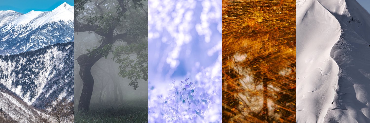 𝙼𝚊𝚢𝚞's banner