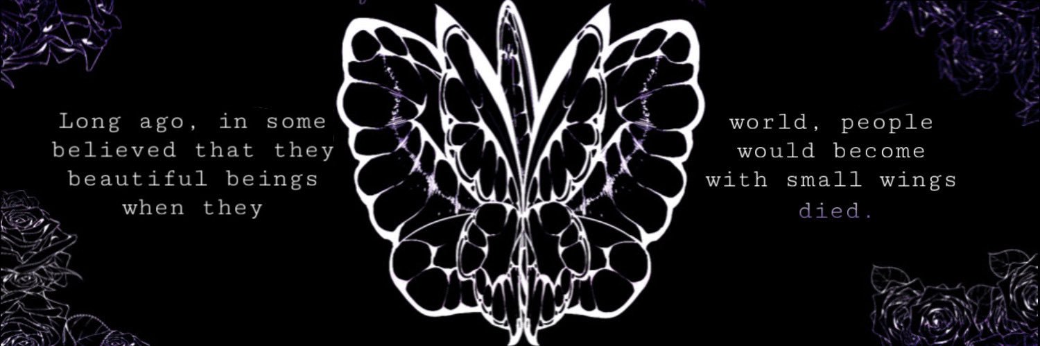 The Funeral of the Dead Butterflies's banner