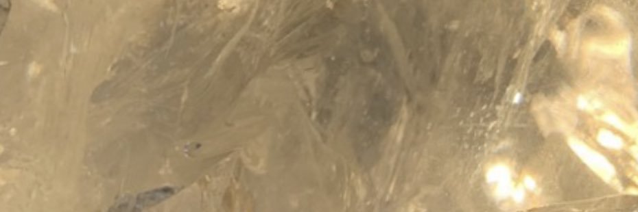 gomariotrindade's profile banner image