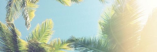 _jessicagans's profile banner image