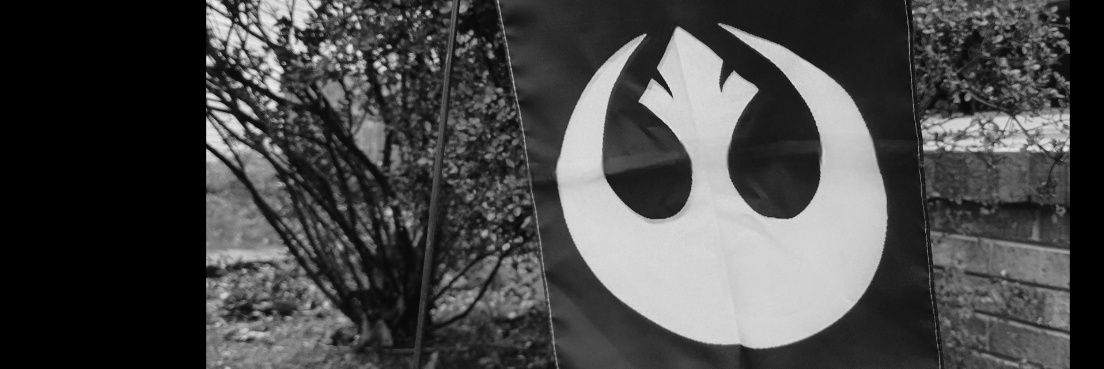Ginger Spark banner