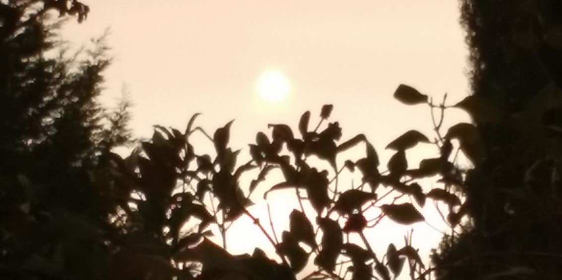 Meryl 💙🎓 banner