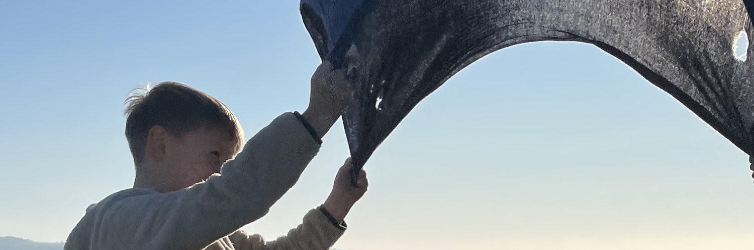 DenisBartelt's profile banner image