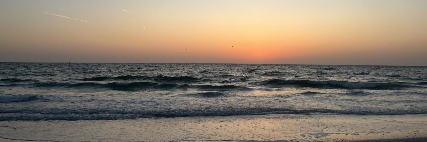 ThatGuyschmidty's profile banner image