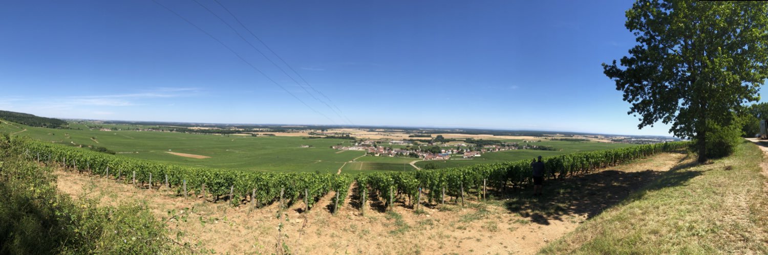 Brian McGuinness banner