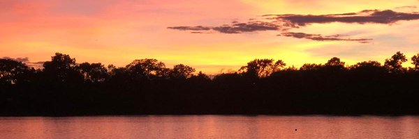 Sarkodee Profile Banner