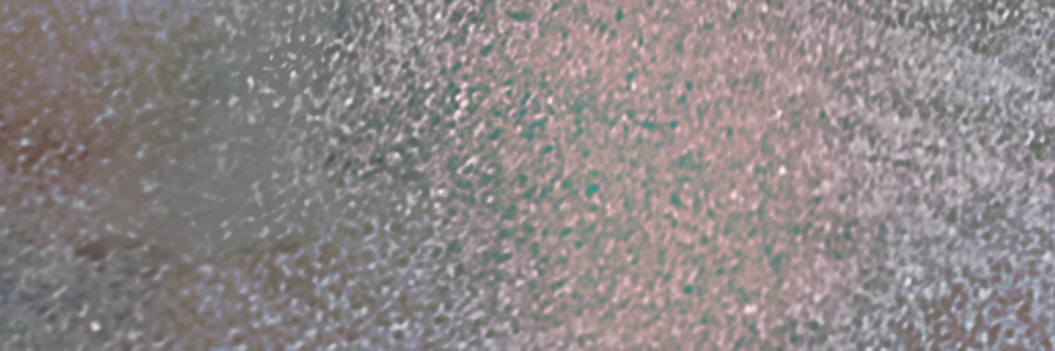 slaughterbeach_'s profile banner image