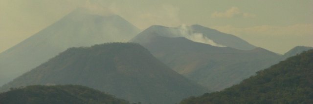 nicagator's profile banner image